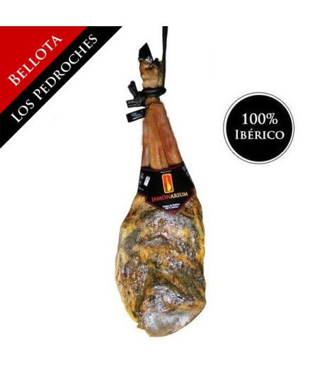 Spalla Ibérico de Bellota (Los Pedroches, Córdoba), 100% Gara Iberica - Pata Negra