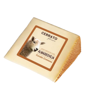 Fromage de Brebis Crémeux Affiné Cerrato Almadeoveja – Morceau