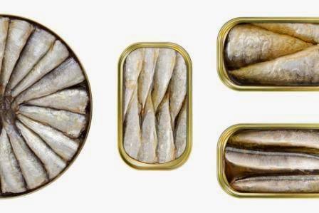 types of canned sardines