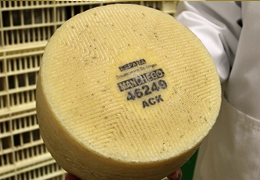 Tomelloso, le meilleur fromage Manchego du monde